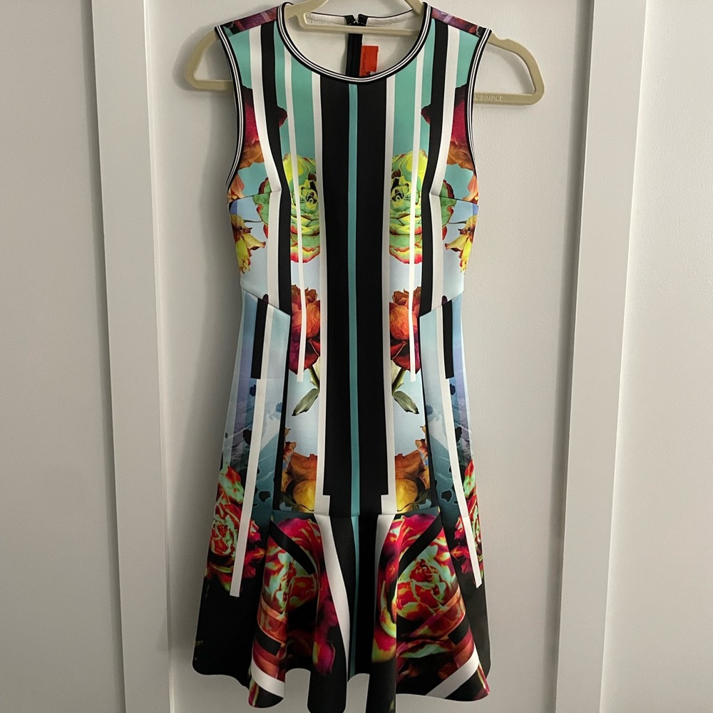 Clover Canyon roses dress